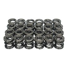 Valve Spring Set 250/275