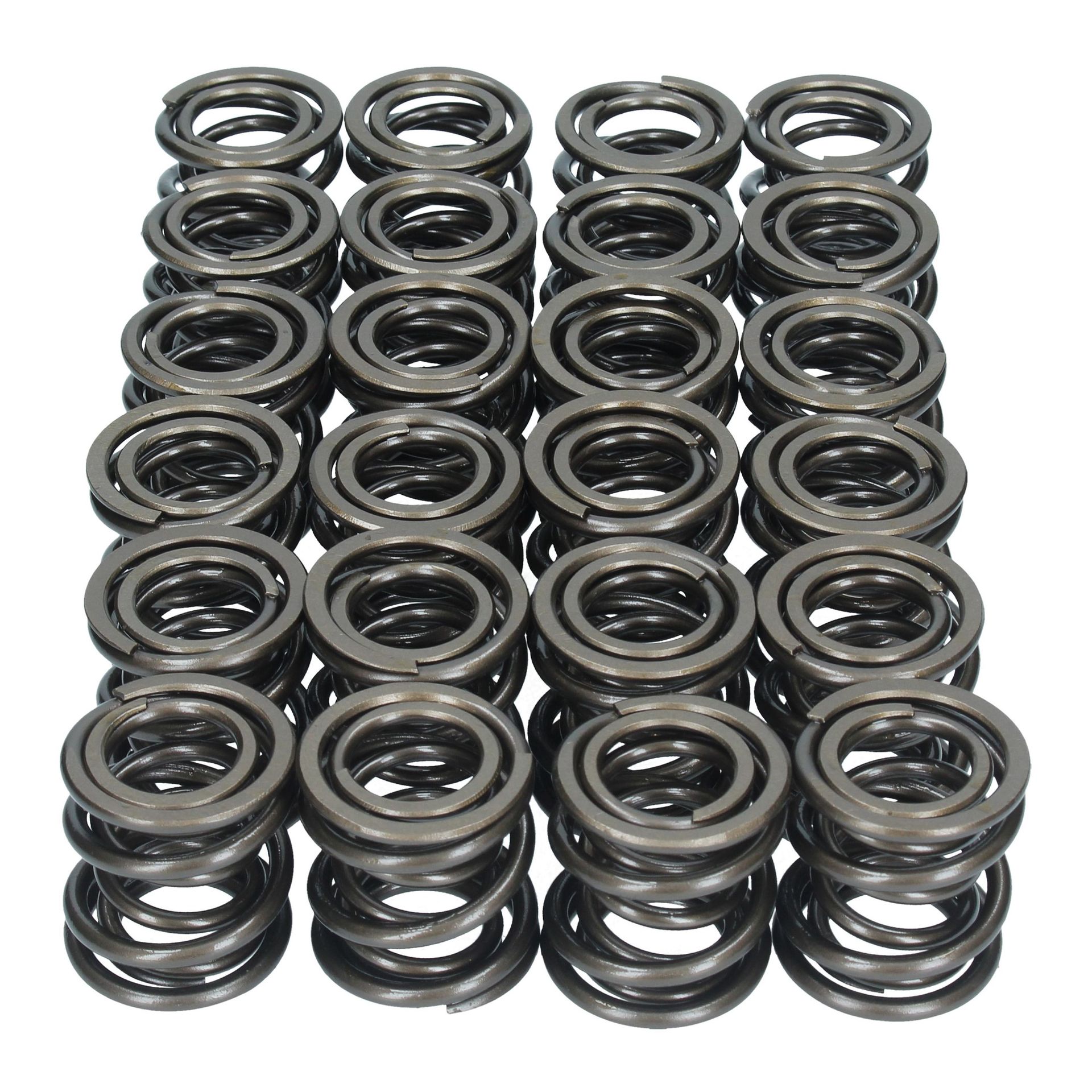 Valve Spring Set 250/275