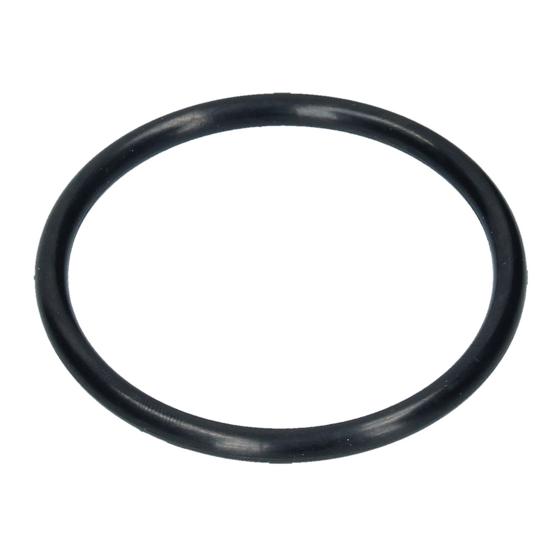 Water Pump O-Ring (54mm ID) 365 GTB4 Daytona