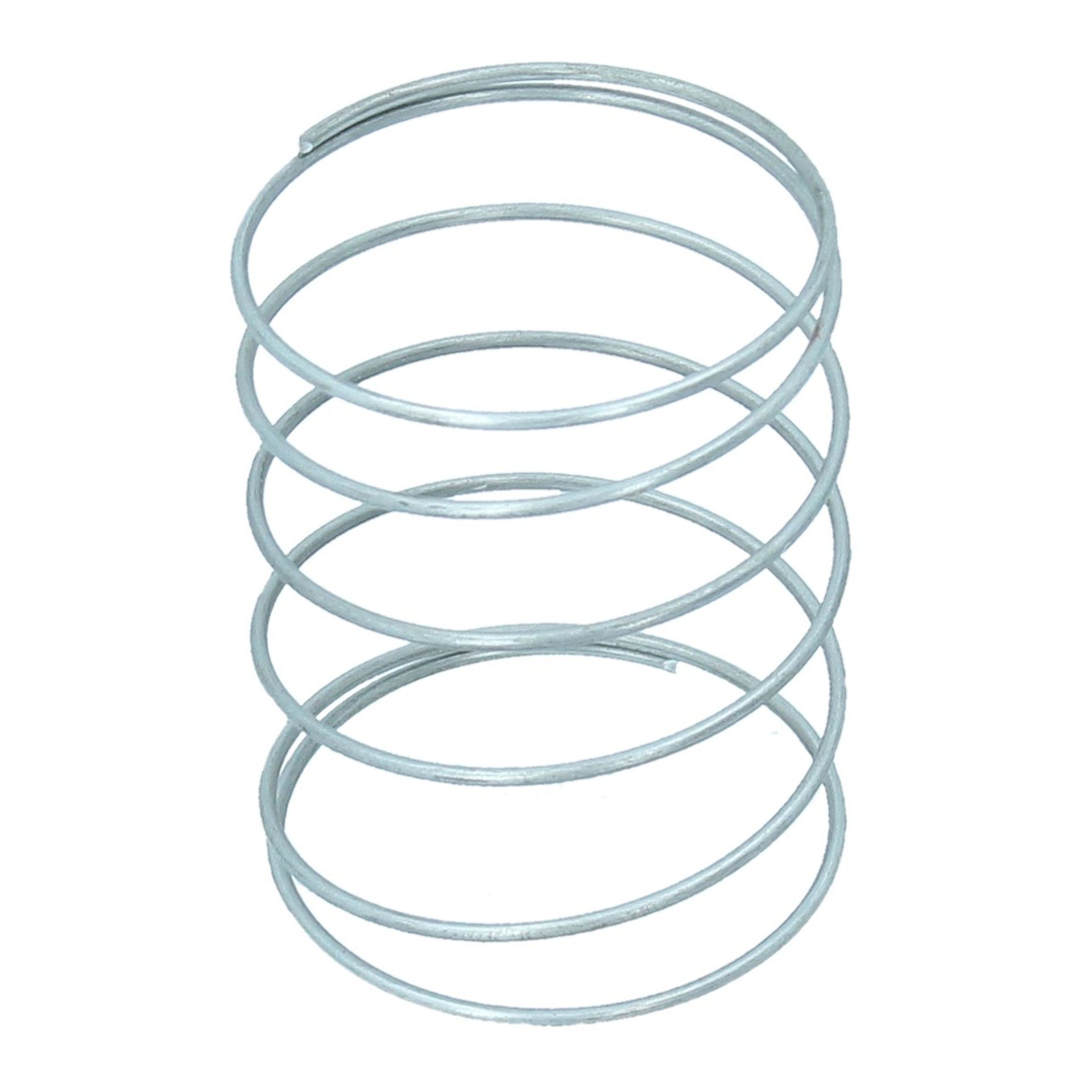 Fuel Pump Spring