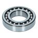 Rear Tailshaft Bearing 250