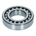 Rear Tailshaft Bearing 250