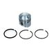 Piston 166 60mm w/rings