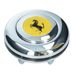 Steering Wheel Centre TR