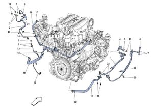 Turbo Hoses